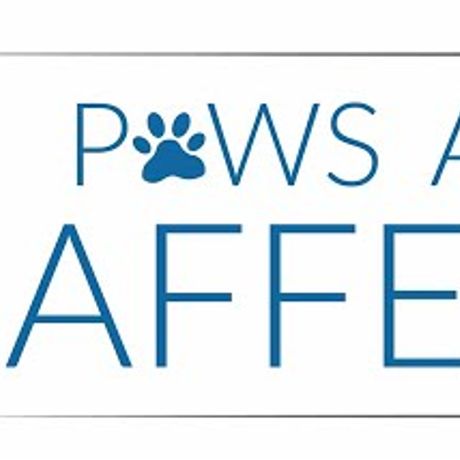Paws And Affect