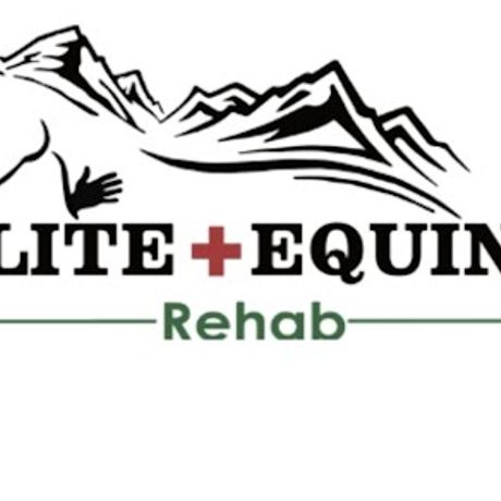 Elite Equine Rescue & Rehab profile image