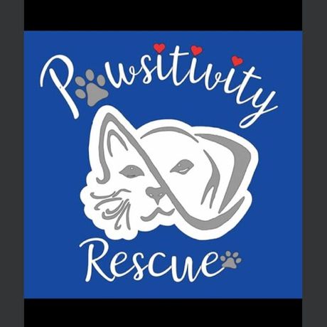 Pawsitivity Rescue Inc