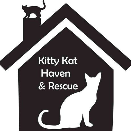 Kitty Kat Haven & Rescue profile image