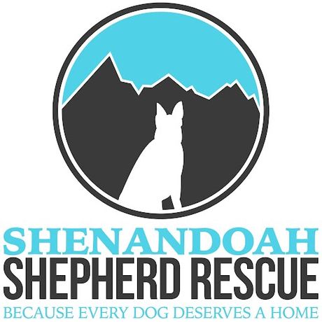 Shenandoah Shepherd Rescue profile image