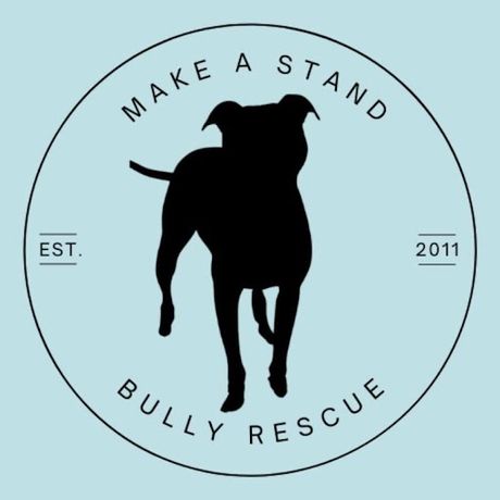 Make A Stand Bully Rescue profile image