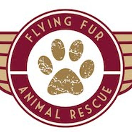Flying Fur Animal Rescue profile image