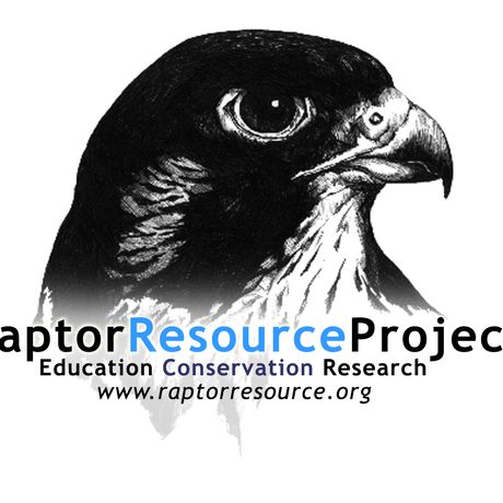 Raptor Resource Project profile image