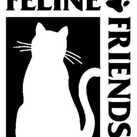 Feline Friends
