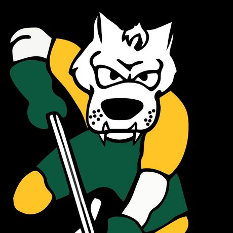 Seawolf 5th Line profile image