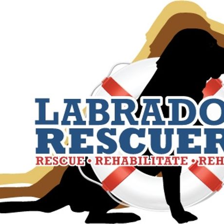 Labrador Rescuers profile image
