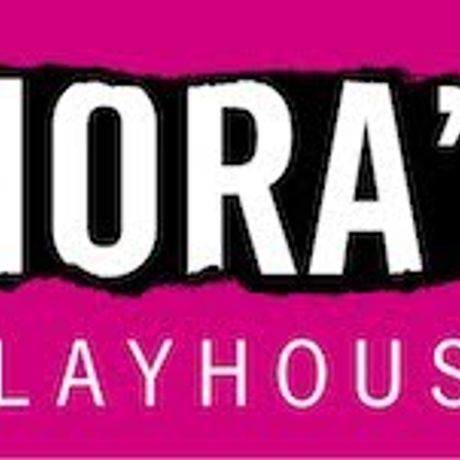 Nora's Playhouse profile image
