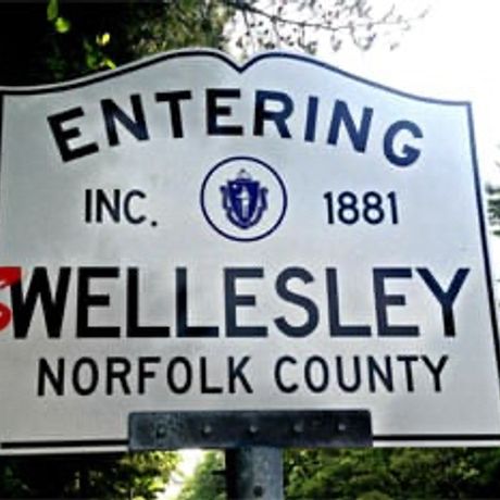 The Swellesley Report & Natick Report profile image