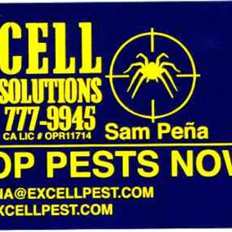 Excell Pest Solutions profile image