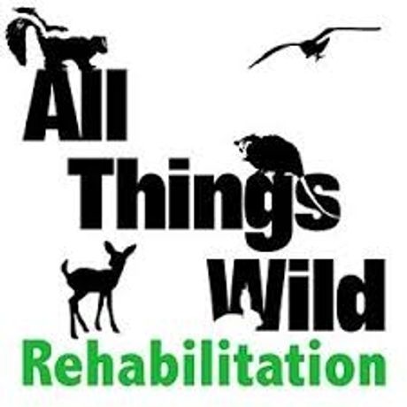 All Things Wild Rehab profile image