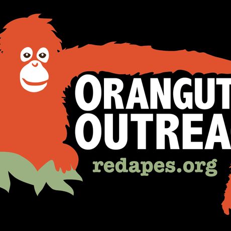 Orangutan Outreach profile image