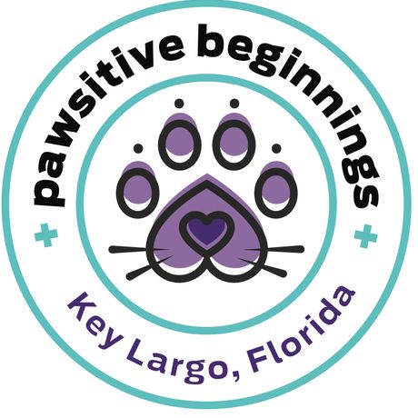 Pawsitive Beginnings Inc profile image