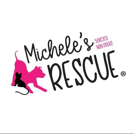 Michele's Rescue