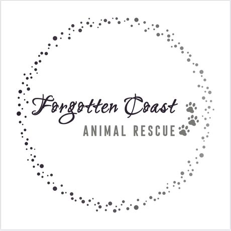 Forgotten Coast Animal Rescue profile image