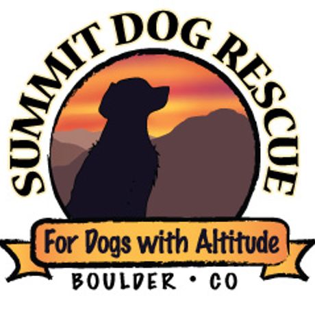 Summit Dog Rescue profile image