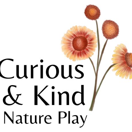 Curious and Kind Education profile image