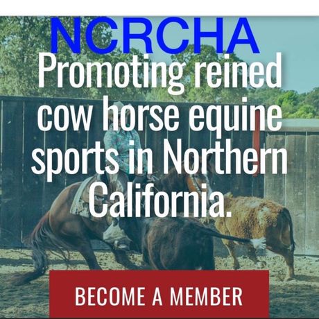 NCRCHA profile image