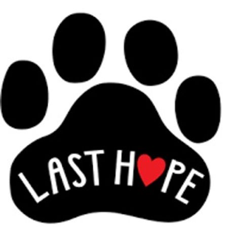 Last Hope K9 Rescue profile image