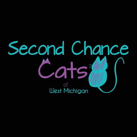 Second Chance Cats of WM profile image