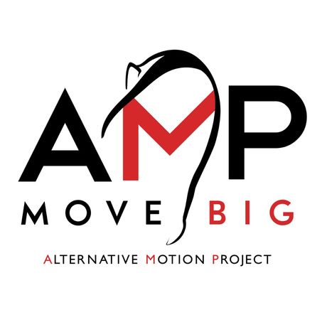 Alternative Motion Project profile image
