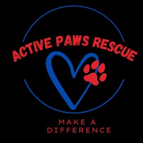 Active Paws Rescue Inc. profile image