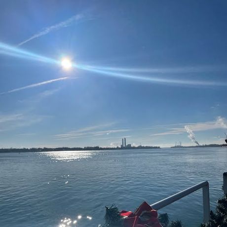 Friends of the St Clair River profile image