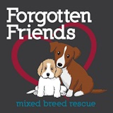 Forgotten Friends Mixed Breed Rescue profile image