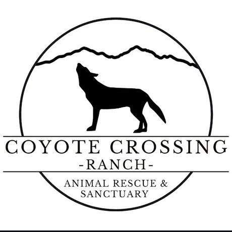 Coyotecrossingrescue profile image