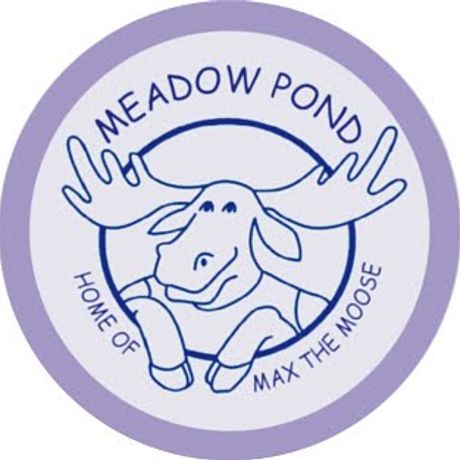 Meadow Pond Elementary PTO profile image