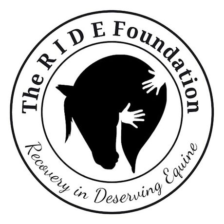 The R I D E Foundation profile image