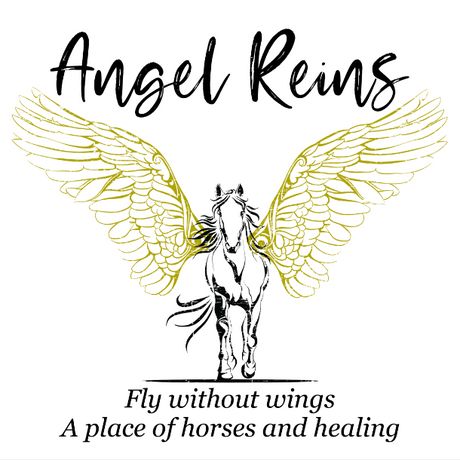 Angel Reins Stable profile image
