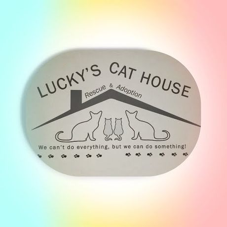 Lucky's CAT House