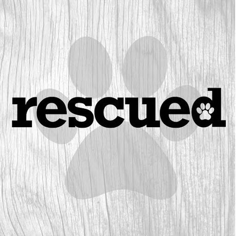 Rescued Inc