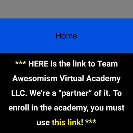 TeamAwesomism Virtual Academy LLC profile image