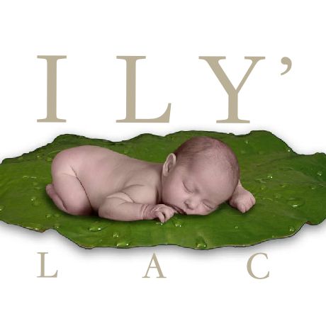 Lily's Place profile image