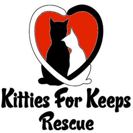 Kitties For Keeps Rescue profile image