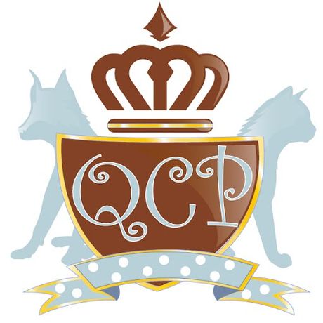 Queen City Pet Sitting profile image