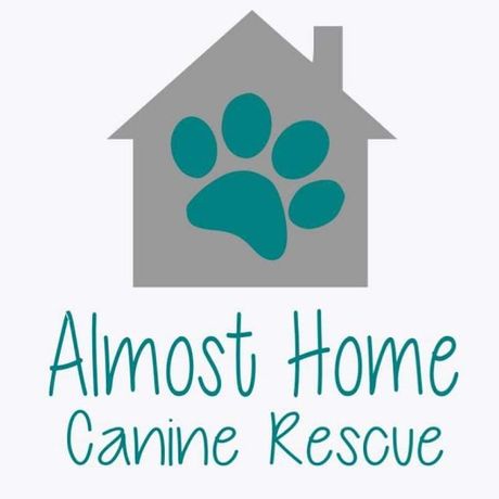 ALMOST HOME CANINE RESCUE Sioux Falls
