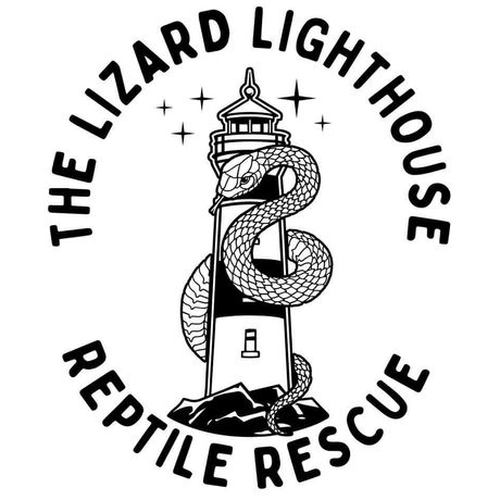 The Lizard Lighthouse Inc. profile image