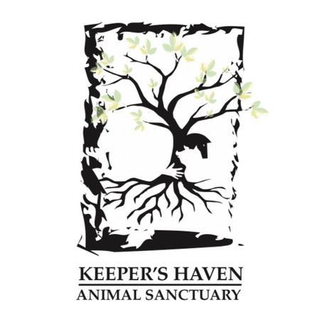 Keeper's Haven profile image