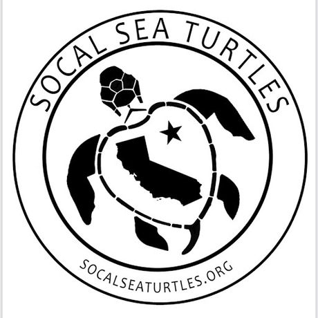 SoCal Sea Turtles profile image