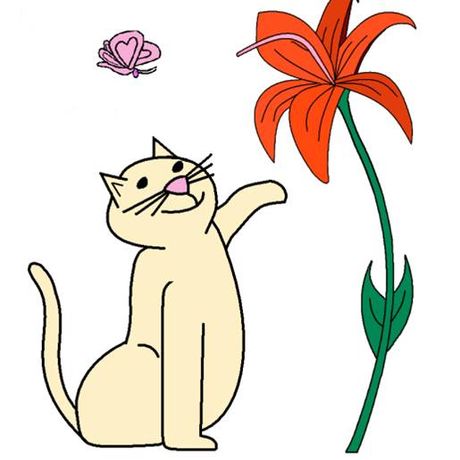 Tigerlily Cat Rescue profile image