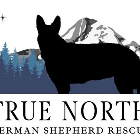 True North GSD Rescue profile image