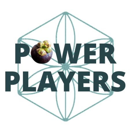 Power Players Int'l profile image