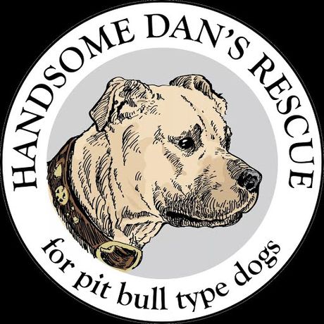 Handsome Dan's Rescue profile image