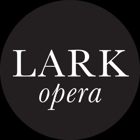 Lark Opera profile image