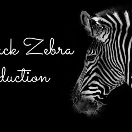 Black Zebra Project