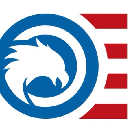 The Patriot Fund Inc profile image