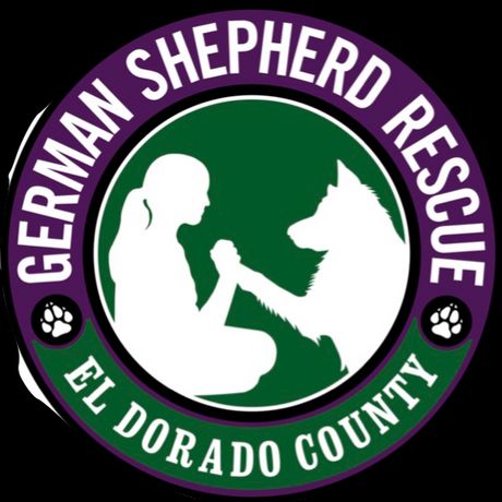 El Dorado County German Shepherd Rescue profile image